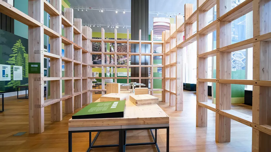Mass-Timber Exhibition, installation view interior wood structure