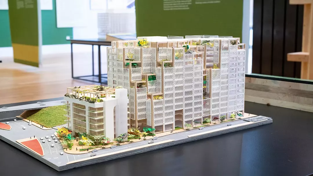 Mass-Timber Exhibition, model