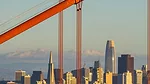 SF Guide.jpg