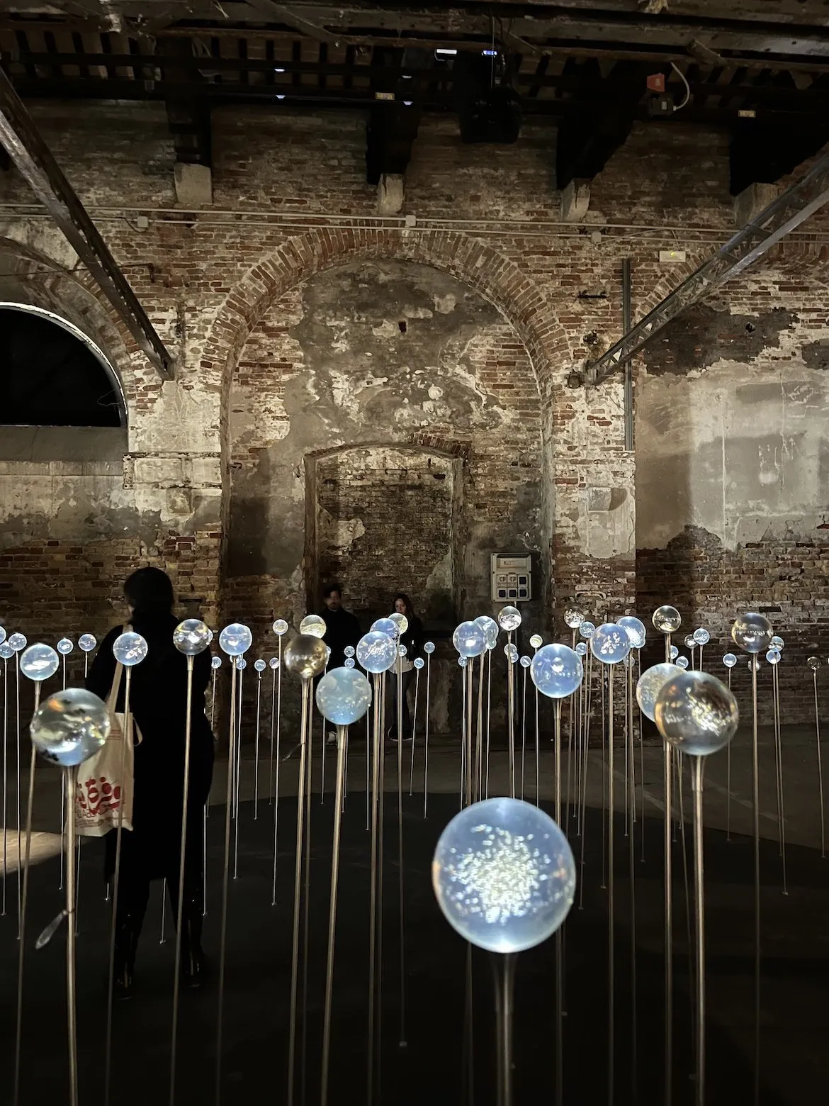 installation at the venice architecture biennale