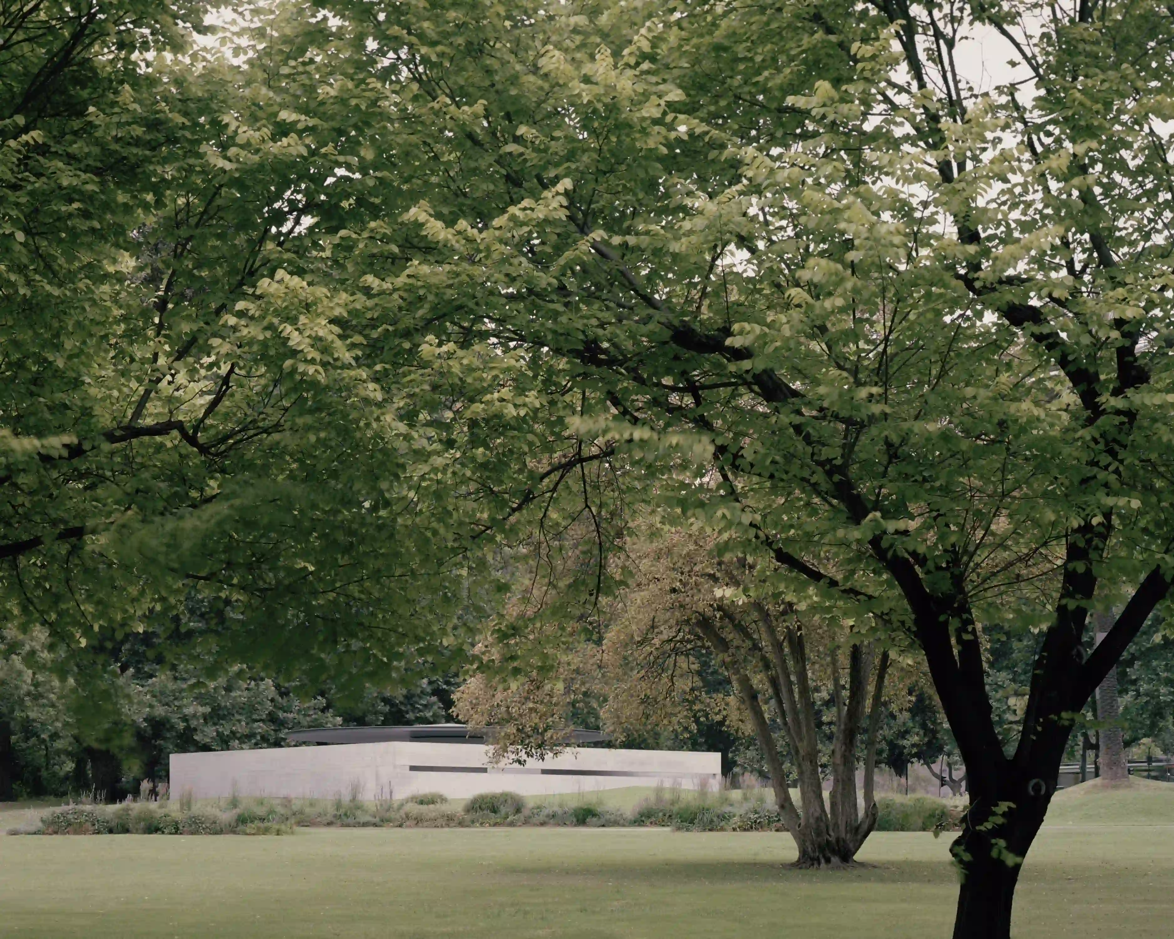 Tadao Ando Mpavilion