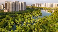 Sanya Dong’an Wetland Park, Sanya, Hainan Province, China, 2021. Photo ©Turenscape courtesy The Cultural Landscape Foundation.1.jpg Sanya Dong’an Wetland Park, Sanya, Hainan Province, China, 2021. Photo ©Turenscape courtesy The Cultural Landscape Foundation.1.jpg