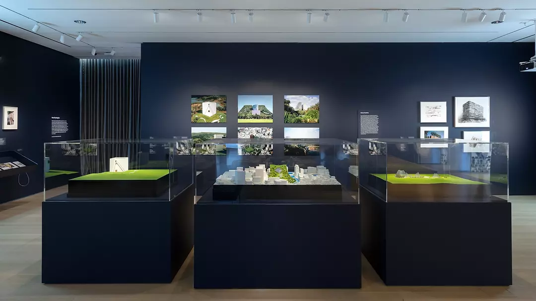 EMERGING ECOLOGIES INSTALLATION-1.webp
