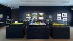 EMERGING ECOLOGIES INSTALLATION-1.webp