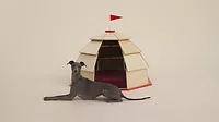 Architecture for Dogs.jpg Architecture for Dogs.jpg