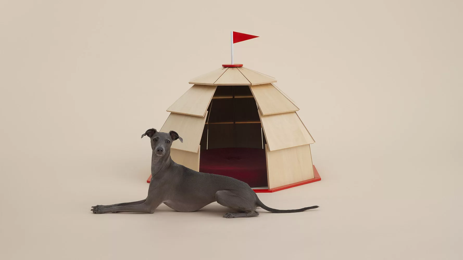 Architecture for Dogs.jpg