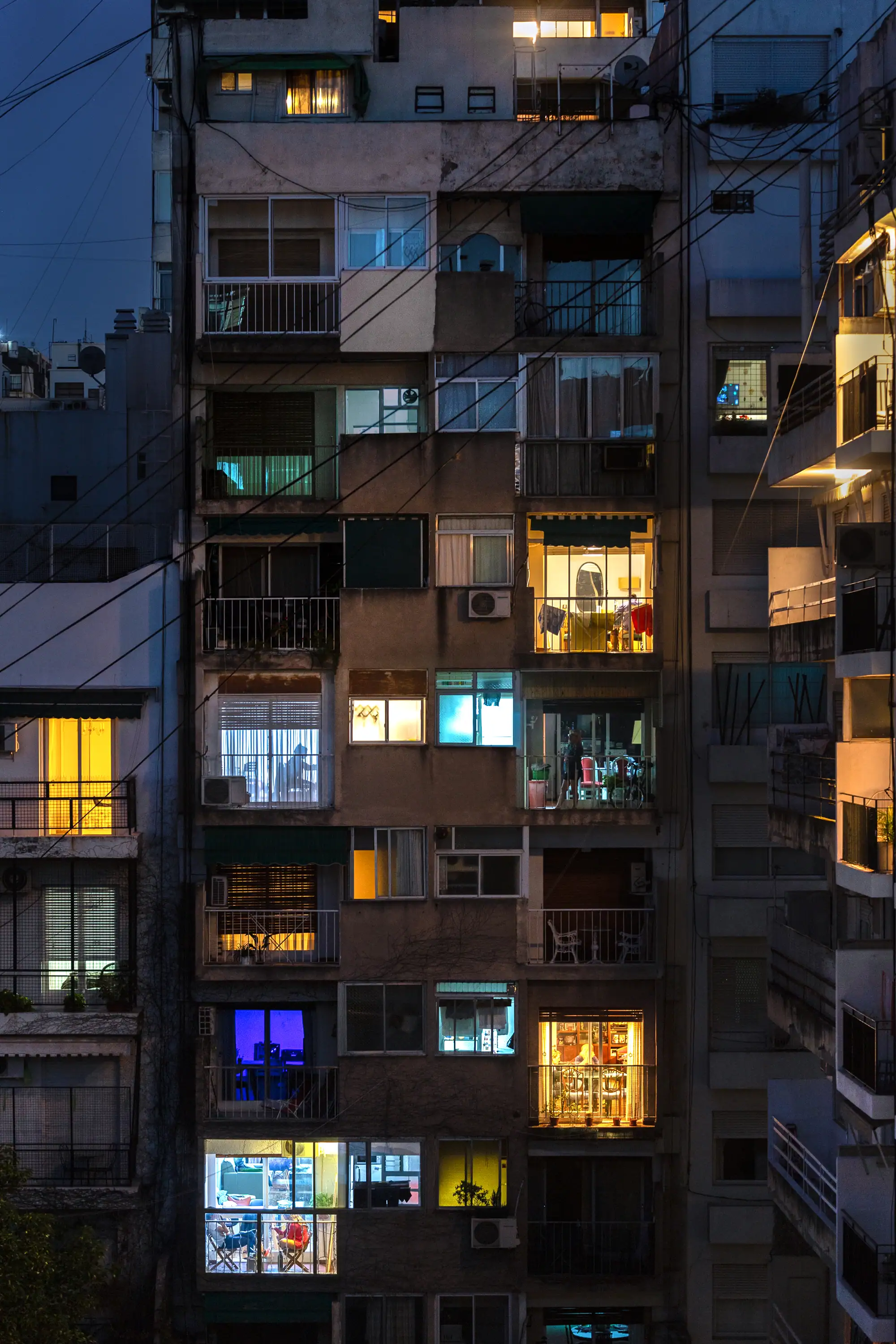 Windows Into Their Lives Alyssa Nealon
