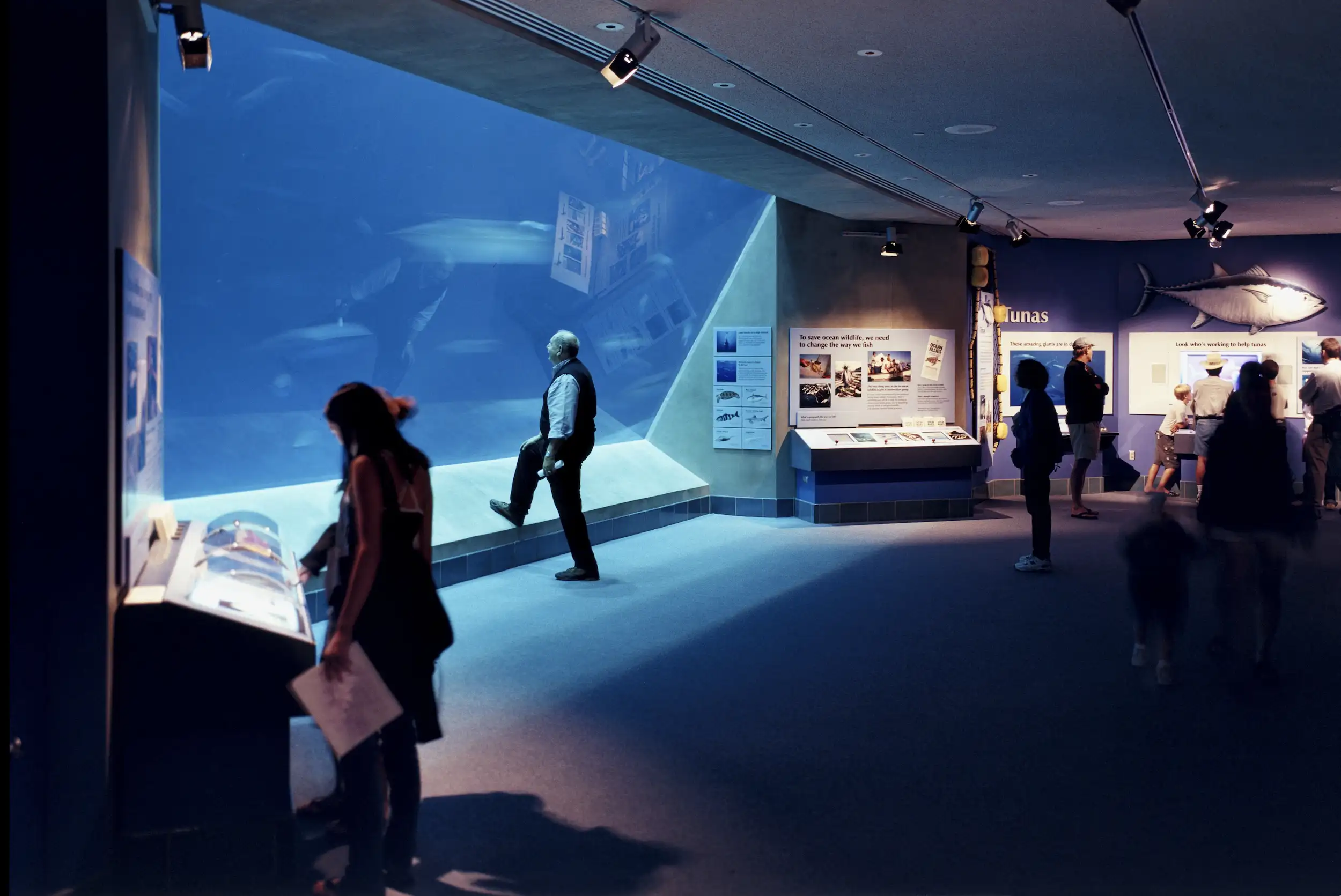 monterey bay aquarium