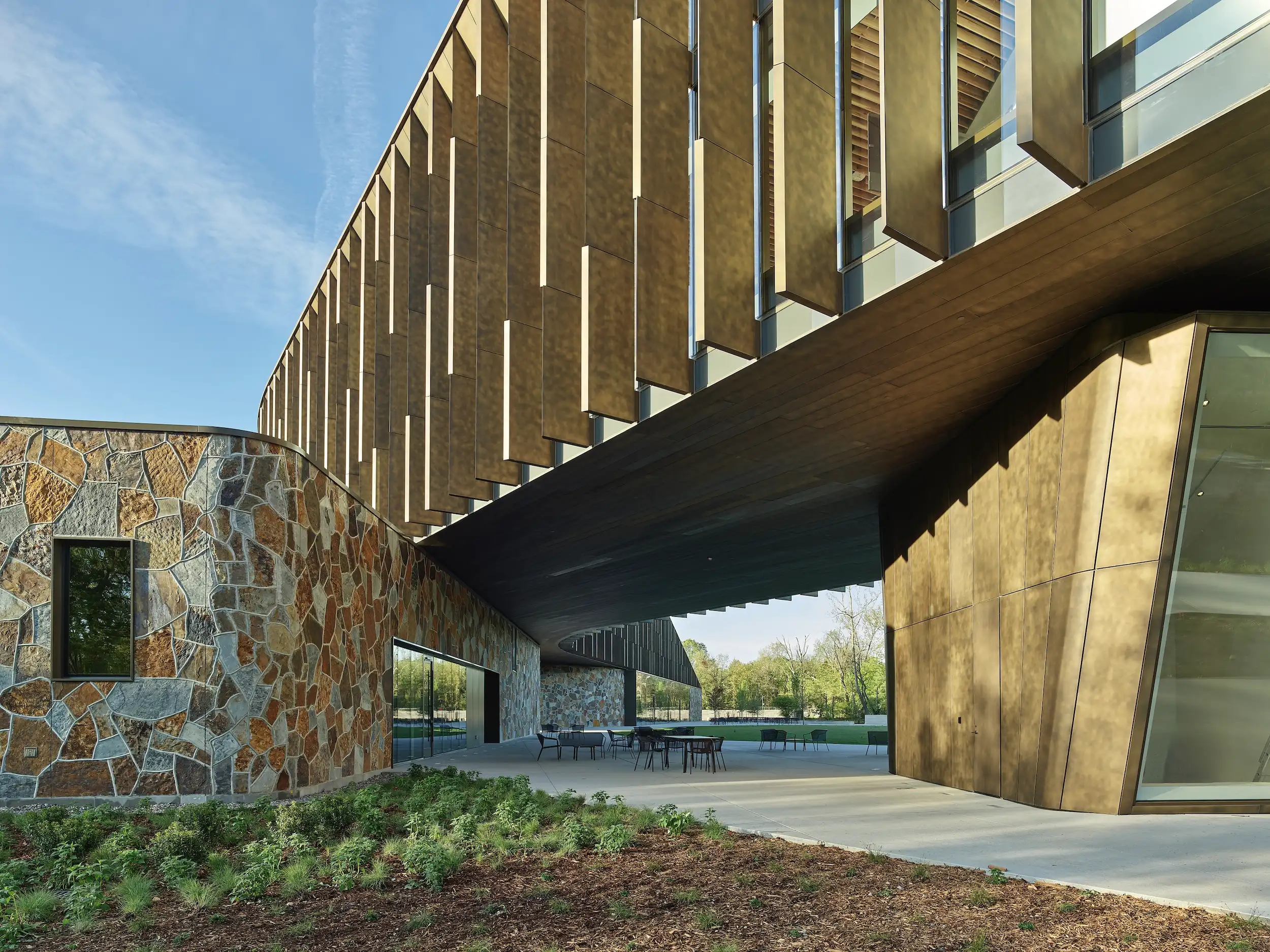 Alice L Walton School of Medicine, Bentonville.