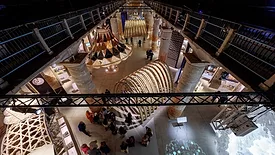 The Arsenale at the 2025 Venice Architecture Biennale
