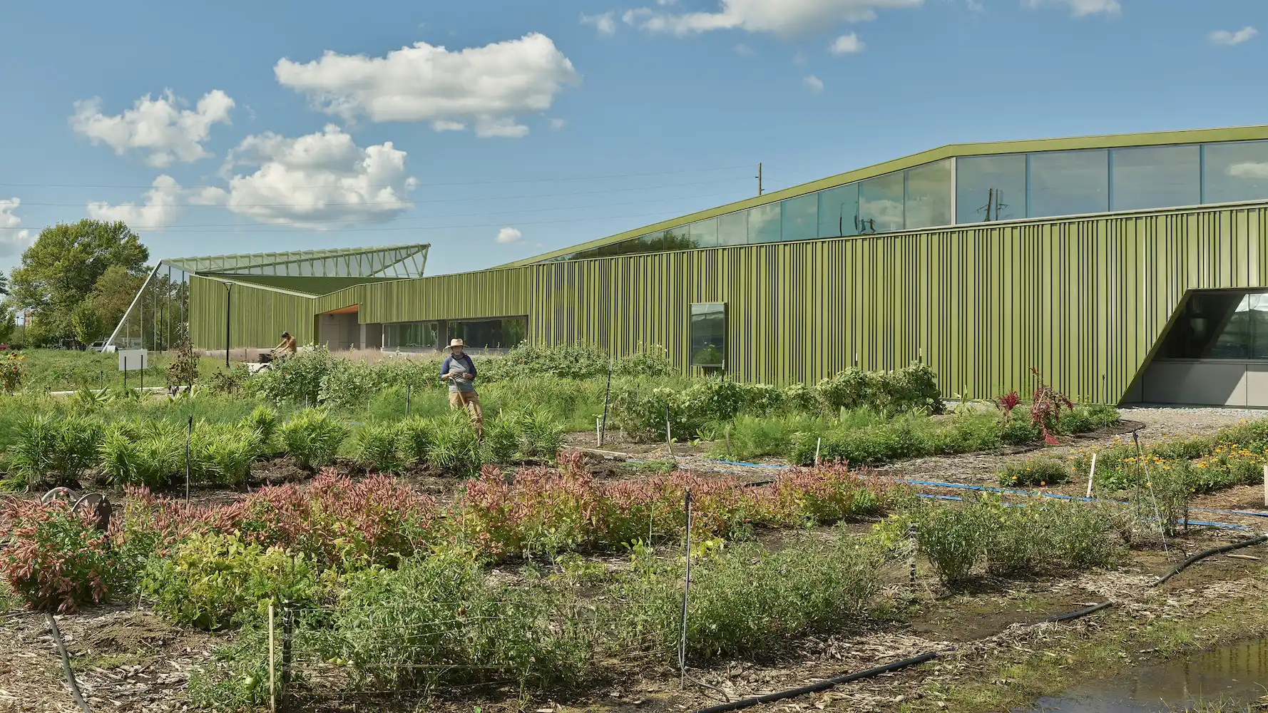 A garden at the Thaden School in Bentonville, Arkansas