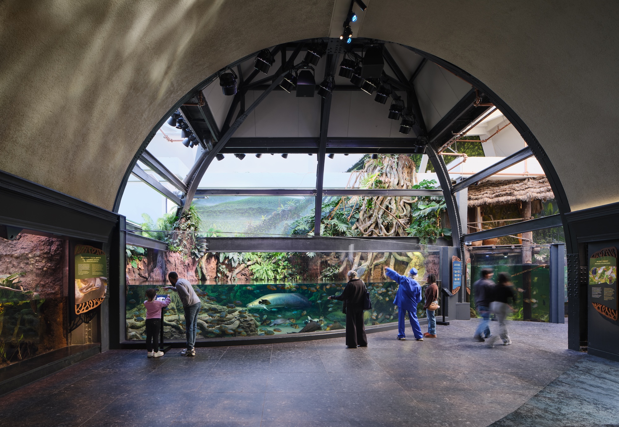 Shedd Aqarium phase 2 renovation