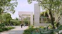 entry approach to Vero Beach Museum of Art Vero Beach Art Museum design rendering