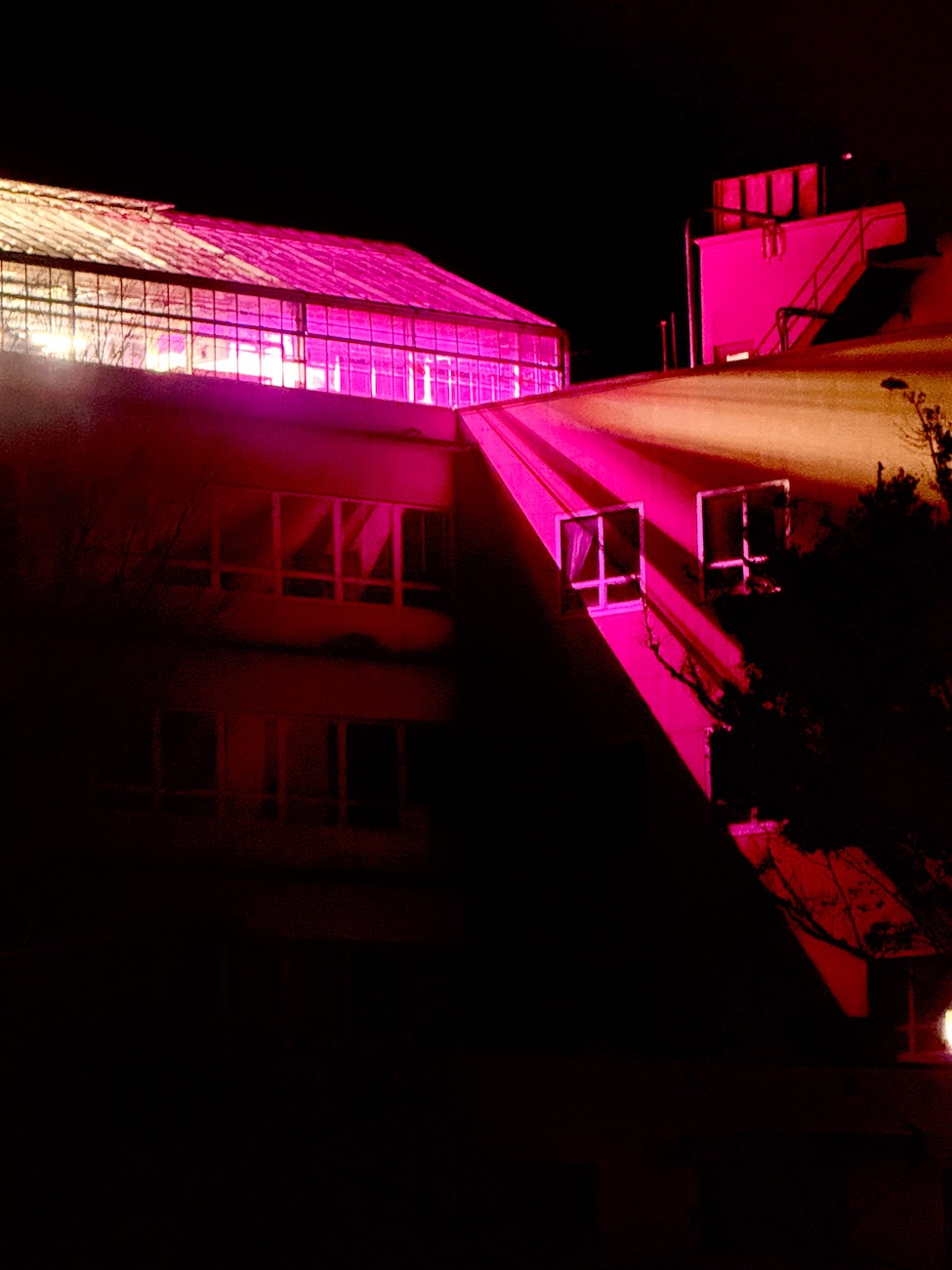 Magentahouse