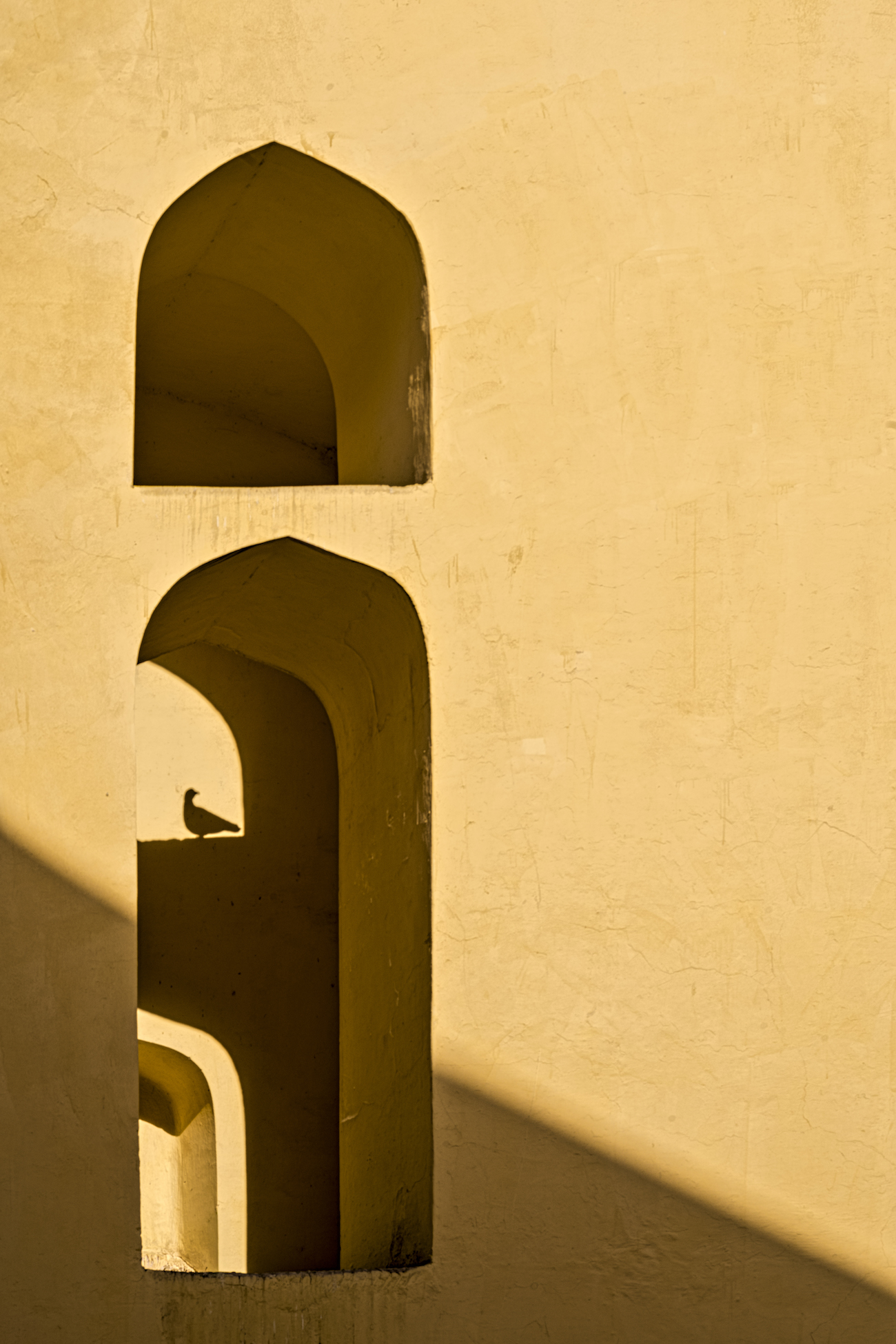  Shadows tell the stories