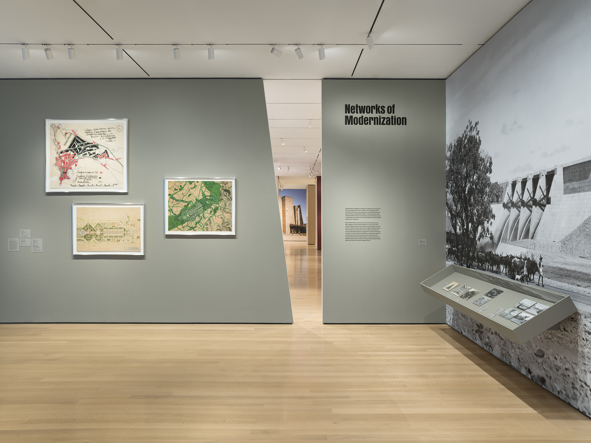 architects of liberation, moma.