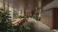 Kaya, San Diego