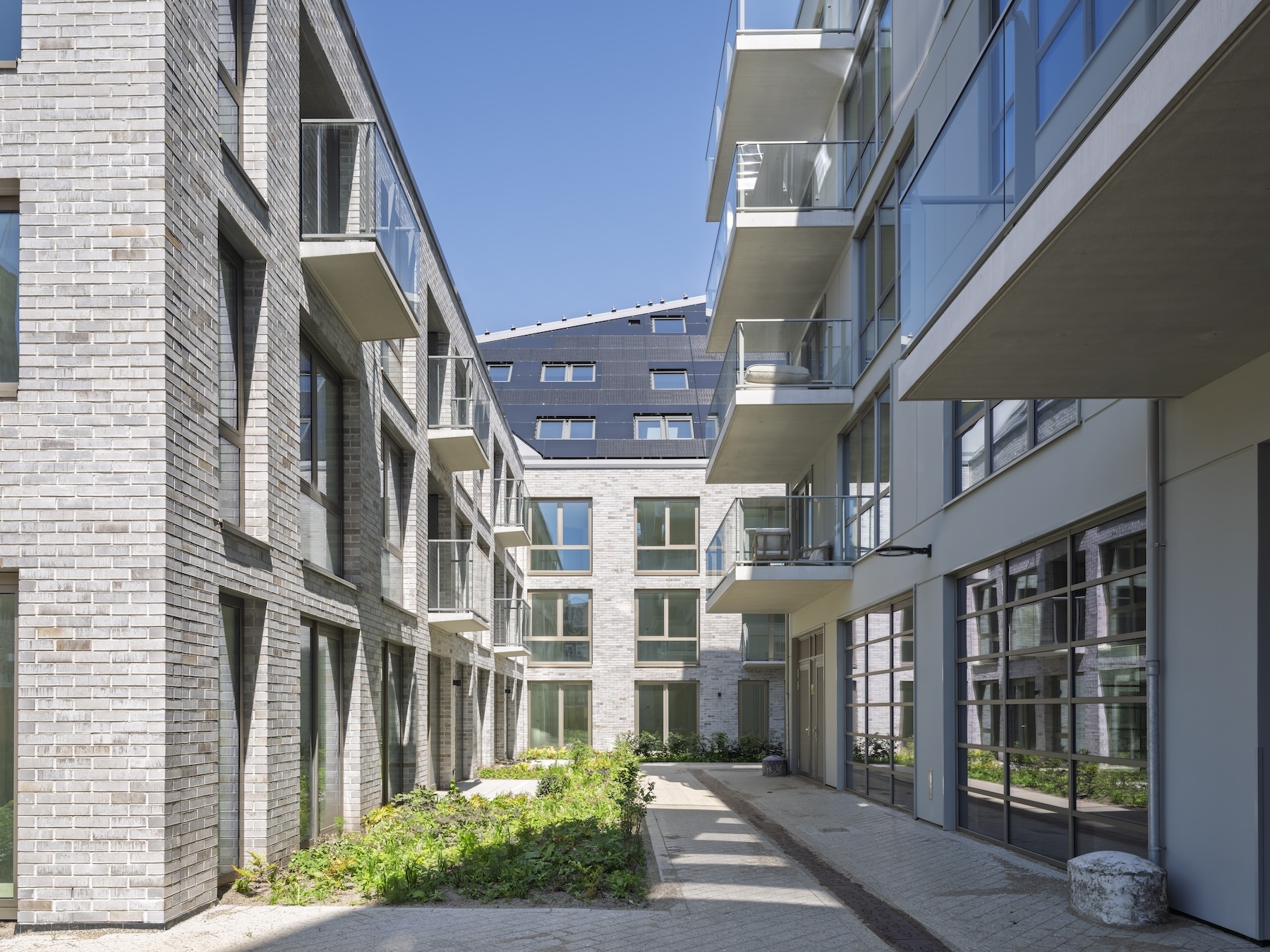 nieuw bergen