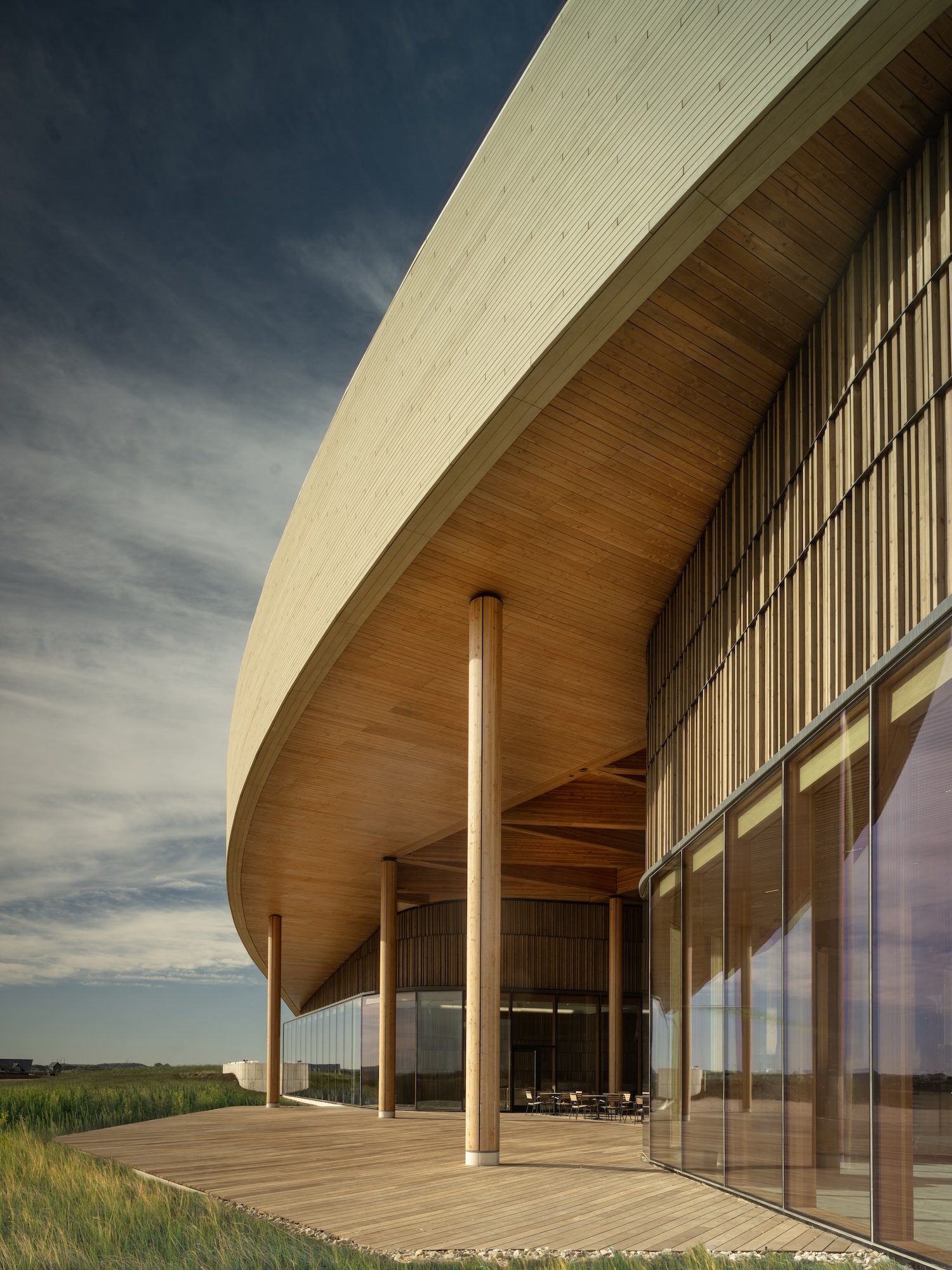 TR Presidential Library