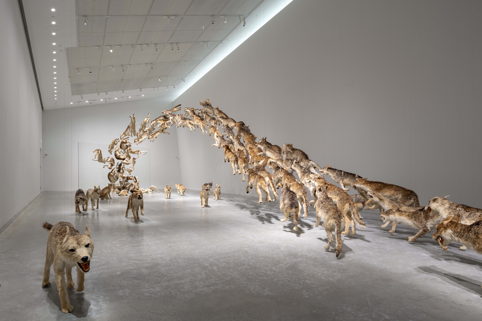 Naoshima New Museum of Art