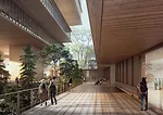 Renderings of Herzog & de Meurons First Canadian Project