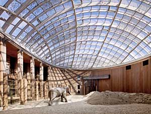 An elephant house designed by Foster + Partners for the Copenhagen Zoo
